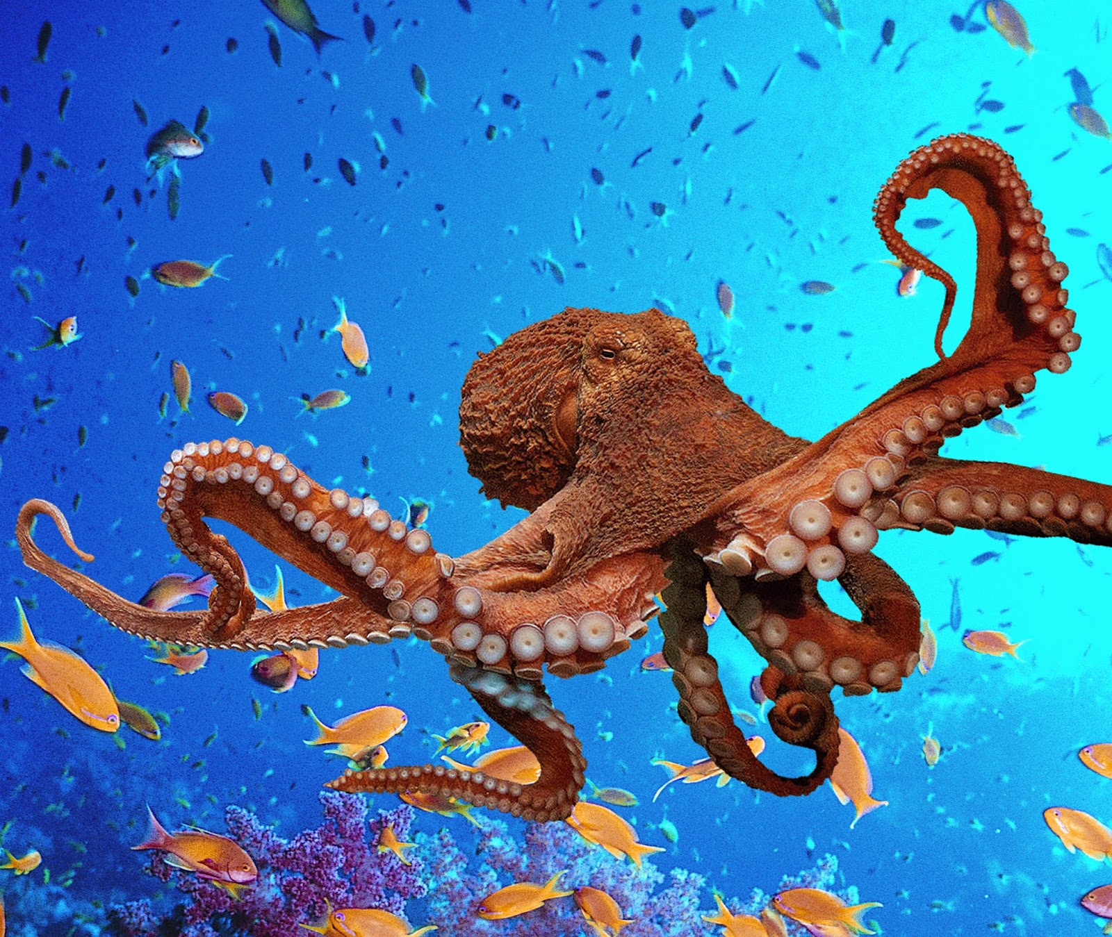 https://whatremovals.co.uk/wp-content/uploads/2022/02/Blue Reef Aquarium Newquay-300x253.jpeg